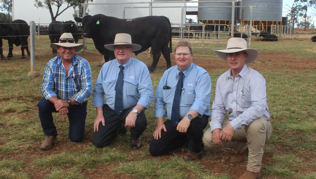 Raff Angus Returns To Queensland With A Bang - Raff Family Farm