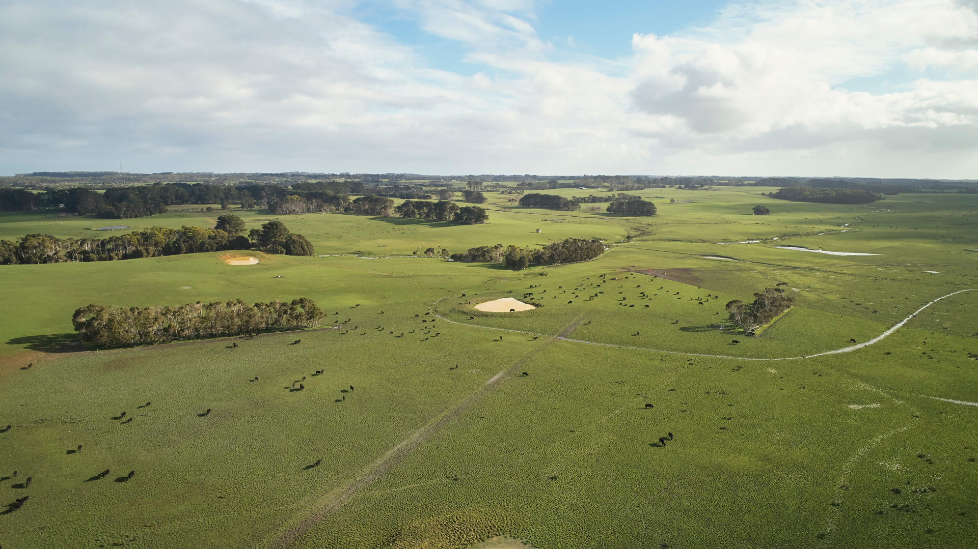 Raff Family Farm – Clean Air, Green Grass, Organic Farming.